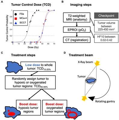 Absolute oxygen-guided radiation therapy improves tumor control in three preclinical tumor models